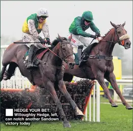  ??  ?? HEDGE YOUR BET: Willoughby Hedge, left, can notch another Sandown victory today