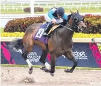  ??  ?? Papa Y (10), con la monta del jinete Marcos Meneses triunfan en la 7ma carrera para el entrenador Juan Carlos Avila