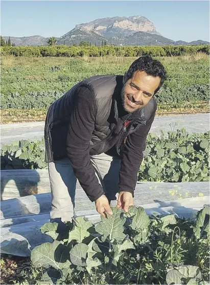  ?? Foto: Andrea Beckmann ?? José Manuel Bisettos Gemüse gedeiht auch ohne Chemie.