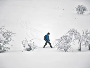  ?? AP PHOTO ?? A pilgrim of Saint James way walks along the field covered by snow between Ibaneta and Roncesvall­es in northern Spain, Tuesday. Scientists in Romania say their studies show it’s probably not a good idea to eat snow that fell more than half a day...