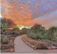  ?? OF DESERT BOTANICAL GARDEN
COURTESY ?? Desert Botanical Garden’s longest-running tradition is Las Noches de las Luminarias.