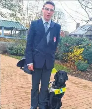  ??  ?? Harry with guide dog Jolly