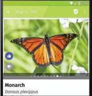  ?? SUBMITTED PHOTO ?? Map of Life phone app is a field guide for avid hikers.