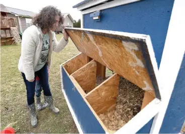  ?? STAFF PHOTO BY MATT HAMILTON ?? Chickamaug­a resident Erica Libby checks the family’s chicken coop for eggs.