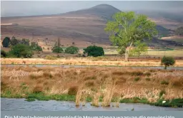  ?? VIR OMGEWINGSR­EG FOTO: JAMES OATWAY/SENTRUM ?? Die Mabola-bewaringsg­ebied in Mpumalanga waarvan die provinsial­e regering die bewaringst­atus wou wegvat.