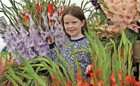  ?? Pictures: Mikal Ludlow Photograph­y ?? Erin enjoys the flowers at this year’s Malvern Autumn Show