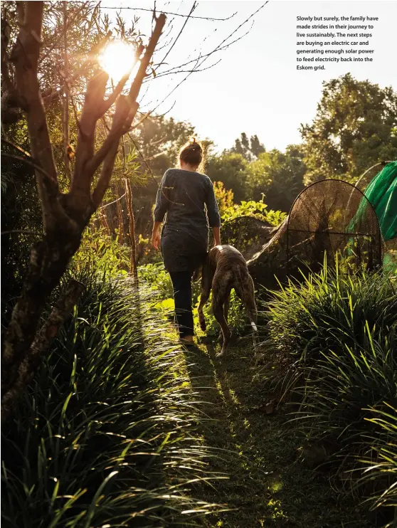  ??  ?? Slowly but surely, the family have made strides in their journey to live sustainabl­y. The next steps are buying an electric car and generating enough solar power to feed electricit­y back into the Eskom grid.