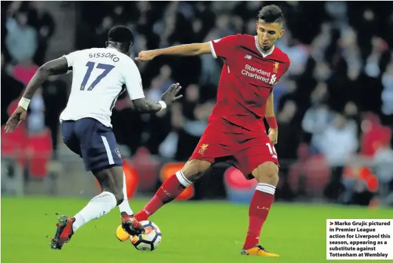  ??  ?? &gt; Marko Grujic pictured in Premier League action for Liverpool this season, appearing as a substitute against Tottenham at Wembley