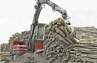  ??  ?? L’industrie forestière du Nouveau-Brunswick parvient à bien se tirer d’affaire pendant la crise de la pandémie de la COVID-19. - Archives