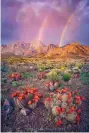  ?? PHOTO COURTESY WAYNE SUGGS PHOTOGRAPH­Y VIA LAS CRUCES SUN-NEWS ?? “Spring Symphony,” a photo by Las Cruces photograph­er Wayne Suggs, features a double rainbow over the Organ Mountains.