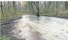  ?? ?? Wenn es im Sommer wieder längere Trockenper­ioden gibt, werden die neu entstanden­en Tümpel wieder verschwind­en.