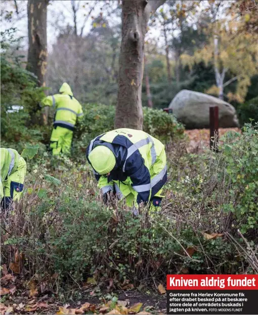  ?? FOTO: MOGENS FLINDT ?? Kniven aldrig fundet
Gartnere fra Herlev Kommune fik efter drabet besked på at beskaere store dele af områdets buskads i jagten på kniven.