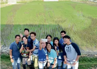  ??  ?? ALDUB fans turn into rice farming fans with help from paddy art.