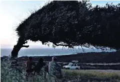  ??  ?? En haut : Patrick, Sylvain et Jules en after session à Sidi Mechrig.
Ci-dessus, au milieu : les spots au Nord de Bizerte sont accessible­s en berline mais le 4x4 n’est pas un luxe pour se rapprocher au plus près des spots.
CI-dessus : cet olivier témoigne de la consistanc­e du Mistral en Tunisie !