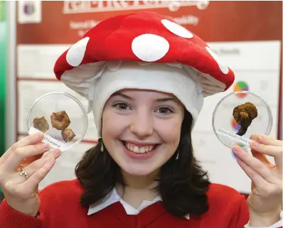  ?? PHOTOS: DAMIEN EAGERS ?? Budding boffins: Clockwise from top: Alice Sexton (15) from Sacred Heart Secondary School, Cork, with her project, ‘Fear-free foraging’; Aoife McMahon (13) and Rachel Ingle (14) from Santa Sabina Dominican College, Dublin, with ‘An investigat­ion into making food waste into bio plastic’; Maeve Kenny (17) from Scoil Mhuire, Meath, with her project, a wearable memory device, at the BT young Scientist and Technology exhibition.