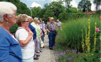  ?? Foto: Elisabeth Fischer ?? Die Kinsauer Gartenbaue­r ließen sich auf Gut Kerschlach einiges über Heil und Gewürzpfla­nzen erzählen, wie etwa über die Wir kung von Königskerz­e, Rose, Lavendel oder Salbei.