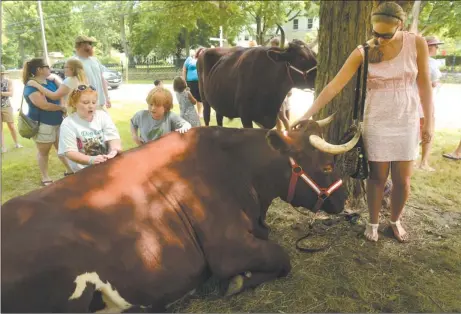 ?? DANA JENSEN/THE DAY ?? Ava Berry, 9, left, brother Oliver Berry, 8, center, both of Old Lyme, and Phoebe Regale, 16, of Madison spend time with Rock, a milking short horn trained ox, on the lawn of the Lyme Art Associatio­n during the Midsummer Festival in Old Lyme on...