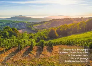  ?? ?? À l’instar de la Bourgogne et de ses climats, le vignoble de Sancerre a connu dès le Moyen Âge la référence au lieu-dit.