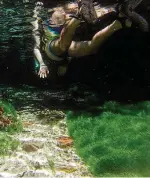  ??  ?? Transparên­cia. Flutuação na Cachoeira Serra Azul (à esq.) e no Rio Triste; abaixo, as onipresent­es piraputang­as