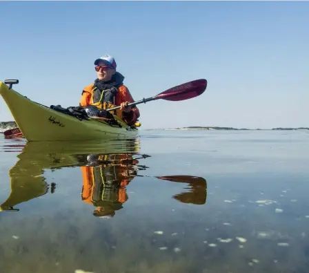  ??  ?? Resans första vecka präglades av klara vatten och nästan magiskt stiltje. De tusentals små kobbar och öar vi gled förbi var fåglarnas rike. Vi var inget mer än turister på deras mark.