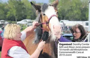  ??  ?? Organised Dorothy Combe (left) and Alison Jones prepare 10-month-old Windyknowe Commonweal­th Cava at 2015’s event 160515show_03