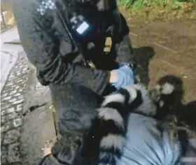  ?? ?? Shocking footage: Officers handcuff a distressed woman in Bristol