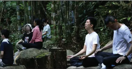  ?? — Photos courtesy of Phwah You Yang ?? Forest therapy can bring calming and therapeuti­c effects, as well as the positive impact of the natural environmen­t on mental and emotional well-being.