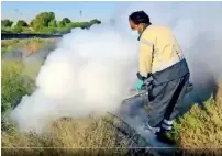  ??  ?? AHEAd oF WIntEr: the Sharjah Municipali­ty prepared more than 80 litres of pesticides for the campaign. — Supplied photo