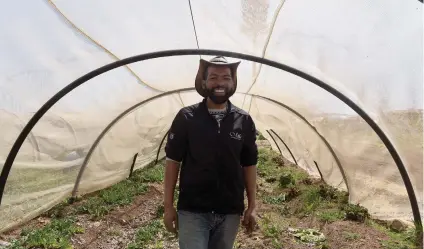  ?? Picture: Tracy Lee Stark ?? GREEN FINGERS. Fazlur Pandor of Urban Fresh on his farm, the Lenin Drive Garden, in Alexandra.