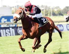  ?? Picture: JC Photograph­ics ?? HONOURED. Coral Fever won three awards at last night’s RA Awards dinner, where he was named Champion Horse Of The Season.