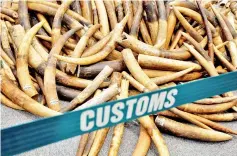  ?? — Reuters photo ?? File photo shows ivory tusks seized by Hong Kong Customs are displayed at a news conference in Hong Kong, China.