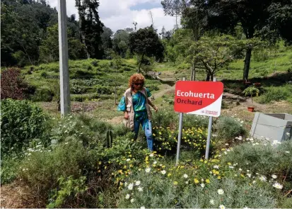  ?? FOTO ?? Además de la huerta, en zona rural de la U. de M. hay un nacimiento de agua y un humedal que, dicen en esa institució­n, deben regenerar, “porque se está perdiendo”.