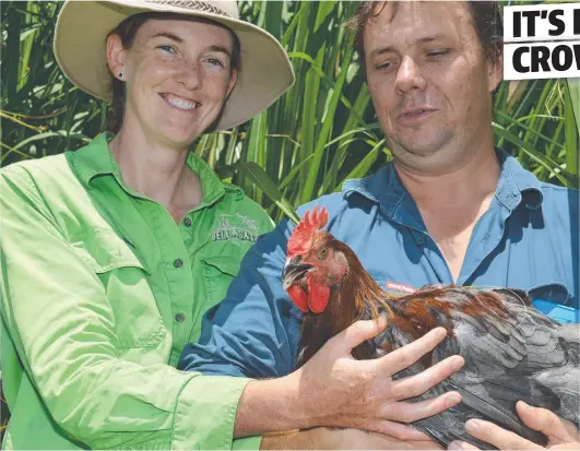  ?? RULING ROOST: Ingham farmers Leanne and Daniel Cordner with one of their award- winning Sommerlad chickens. Picture: JOHN ANDERSEN ??
