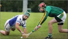  ??  ?? HWH-Bunclody netminder Ciarán Regan keeps the sliothar away from Frank Kavanagh of Castle-Craan Gaels.