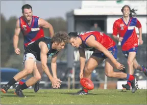  ??  ?? HEADS UP: Kalkee’s Daniel Parkin looks to collect the ball before Swifts’ Lachie Exell. Picture: PAUL CARRACHER