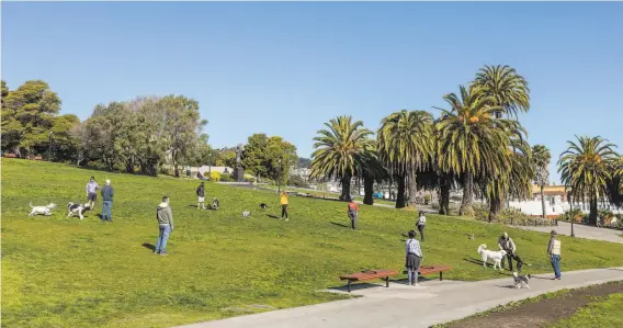  ?? Constanza Hevia H. / Special to The Chronicle ?? With the city’s official dog parks closed, people brought their dogs to Dolores Park on Wednesday, but most seemed to be practicing social distancing.