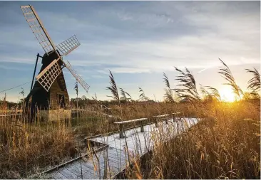  ??  ?? TOP A windmill at Wicken Fen, a wetland nature reserve in Cambridges­hire