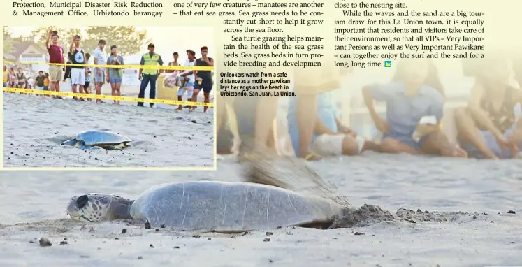  ??  ?? Onlookers watch from a safe distance as a mother pawikan lays her eggs on the beach in Urbiztondo, San Juan, La Union.