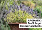  ??  ?? AROMATIC: Don’t forget lavender and herbs