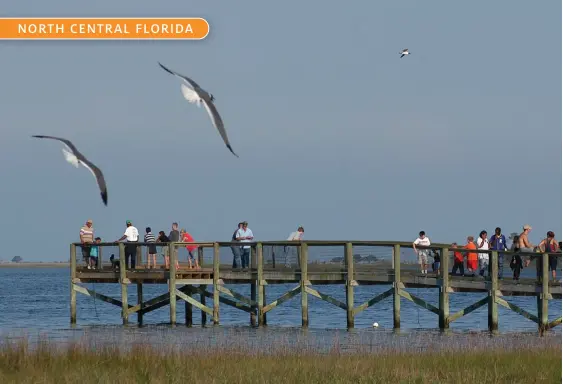  ??  ?? WOOLLEY PARK PIER, WAKULLA COUNTY • VISIT WAKULLA