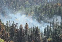  ?? Hyoung Chang, Denver Post file ?? The Spring Creek fire was the third-largest wildfire in Colorado history. It began on June 27, 2018, burned 108,045 acres and damaged or destroyed 251 homes.