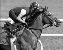  ?? BARBARA D. LIVINGSTON ?? Heart To Heart breezes an easy half-mile Monday at Saratoga.