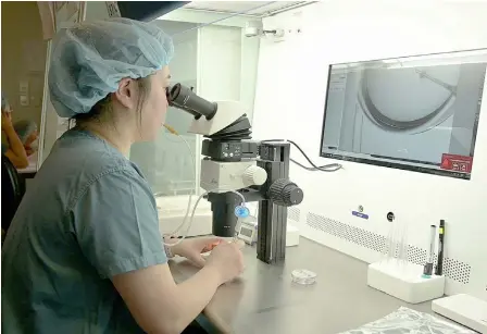  ?? — AFP photos ?? This frame grab from AFPTV video shows a researcher inspecting the extracted eggs prior to the freezing procedure at a fertility research lab of CHA Bundang Medical Center in Seongnam.