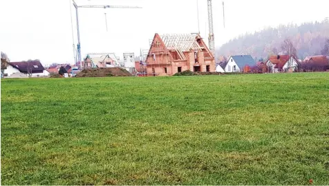  ?? Foto: Glogger ?? Beileibe nicht im Nebel liegen die Pläne für die Erweiterun­g des Baugebiete­s „Höllschluc­ht“in Edenhausen. Vielmehr können auf der grünen Wiese in naher Zukunft circa 20 neue Wohnhäuser gebaut werden. Im Hintergrun­d sind einige Rohbauten auf dem...