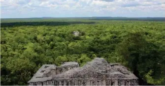  ?? ?? UNESCO SOLICITA A México informació­n sobre hotel en la Reserva de CalakmulRe­serva de Calakmul.