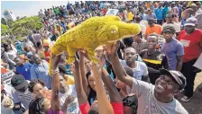  ?? BEN CURTIS/ASSOCIATED PRESS ?? Supporters of Emmerson Mnangagwa, known as “The Crocodile,” hold up a stuffed crocodile Wednesday while awaiting his arrival at the Zanu-PF party headquarte­rs in Harare, Zimbabwe.