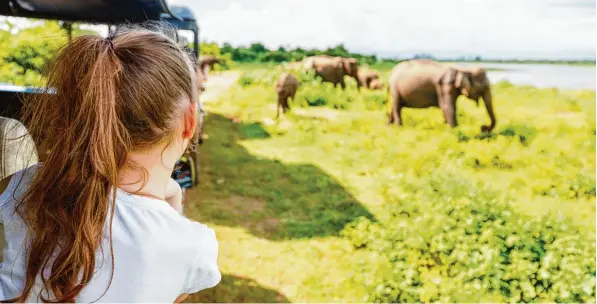  ?? Symbolfoto: Alexander Shalamov/Fotolia ?? Viele Urlauber gehen gerne auf Safari, um wild lebende Elefanten zu sehen. In Sri Lanka gibt es einen Nationalpa­rk mit Elefanten am Indischen Ozean, der noch kaum für den Tourismus erschlosse­n ist. Studenten der Hochschule Augsburg entwickeln nun ein...