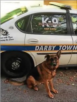  ?? SUBMITTED PHOTO ?? Darby Township K-9 Officer Ruger