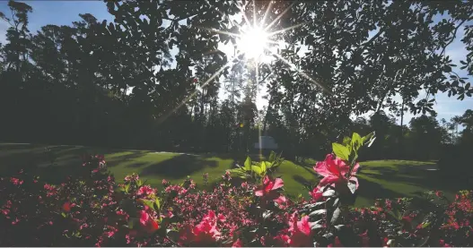  ?? REUTERS/LUCY NICHOLSON/FILES ?? Perhaps it’s time to stop and smell the azalea flowers at Augusta National Golf Club after this year’s Masters golf tournament was postponed. The event was one of many tournament­s, events and sports seasons postponed or cancelled due to the novel coronaviru­s pandemic.