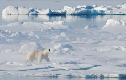  ?? Jonathan Hayward/the Canadian Press ?? The federal Tories did not follow an Environmen­t Ministry recommenda­tion about how it should address an Intergover­nmental Panel on Climate Change assessment in September which found it’s extremely likely humans have been the dominant cause of global...